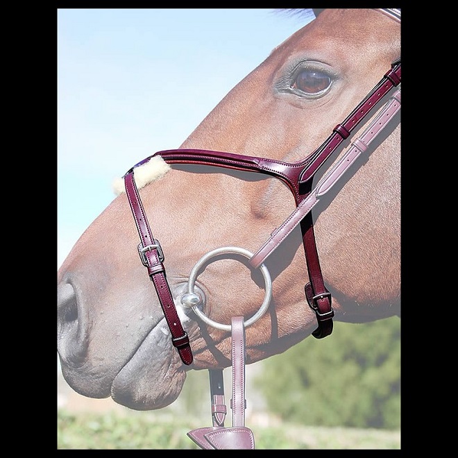 Eccellente Capezza Per Cavallo | Capezza Cavallo Superior Xl